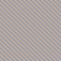 CLR1 021/1